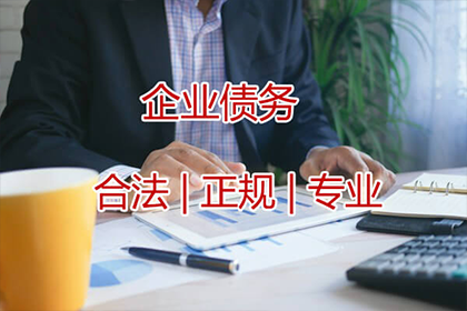 巢湖收账公司:胜诉后如何申请欠款强制执行？